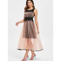 Mesh Overlay Sleeveless Vintage Dress