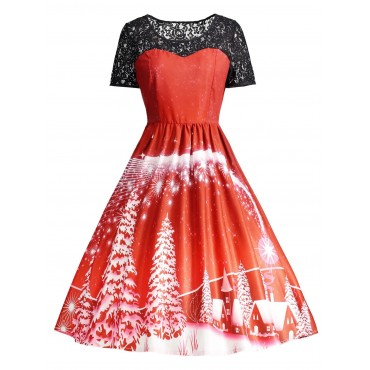 Print Lace Panel Vintage Party Dress