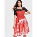 Print Lace Panel Vintage Party Dress