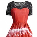 Print Lace Panel Vintage Party Dress