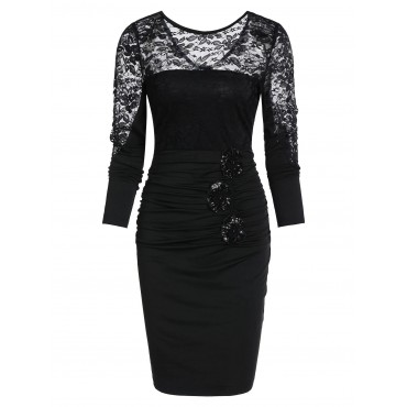 See Through Drape Design Lace Sheath Dress