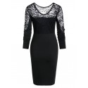 See Through Drape Design Lace Sheath Dress